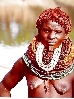 Wild Africa Amatuer Ebony