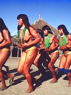 Wild Africa Mad Ebony